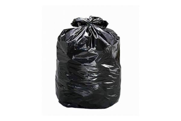 plastictrashbag2024080115012612662